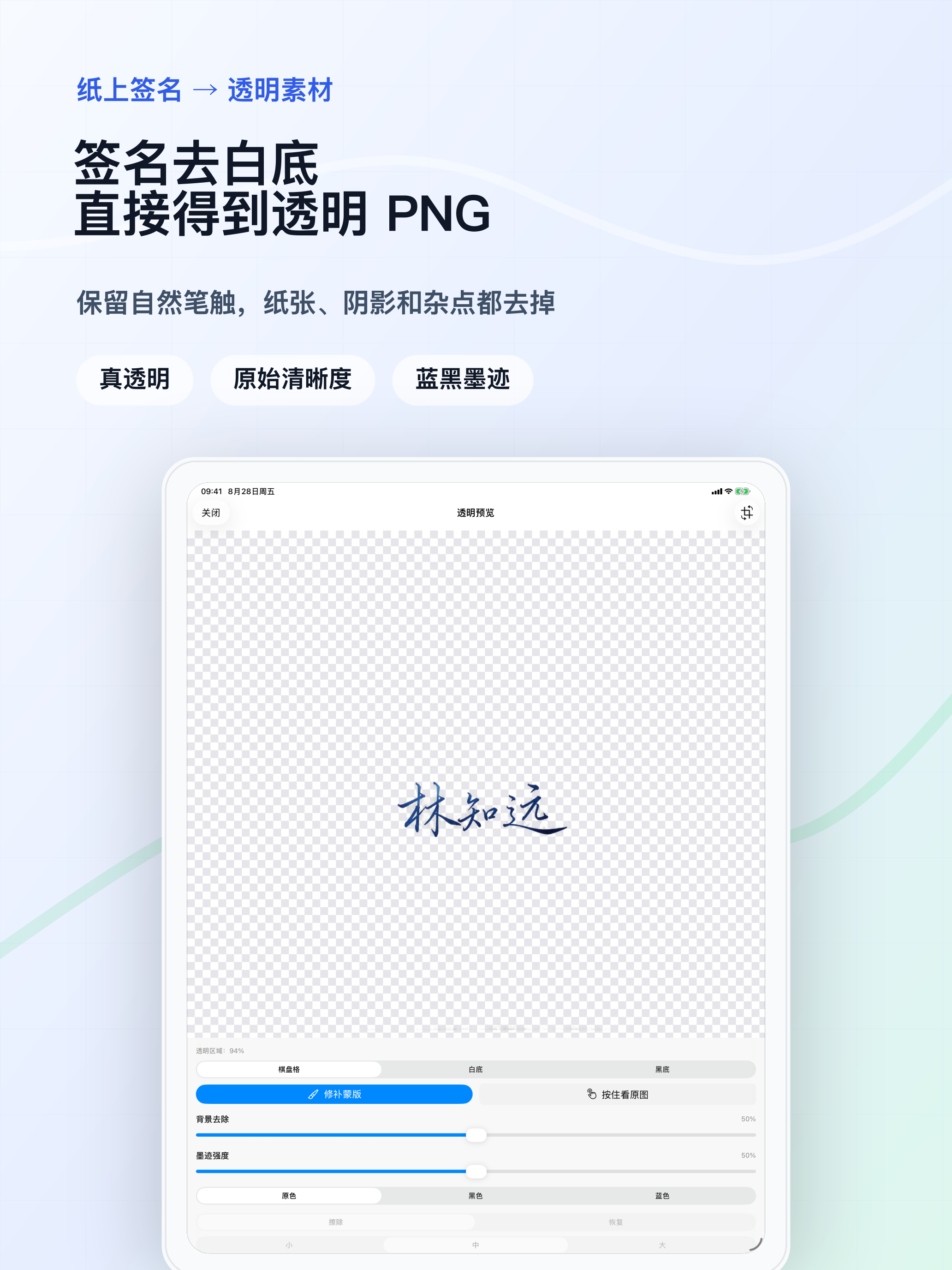 iPad 上的大画布透明预览，便于检查签名边缘和完整笔画。