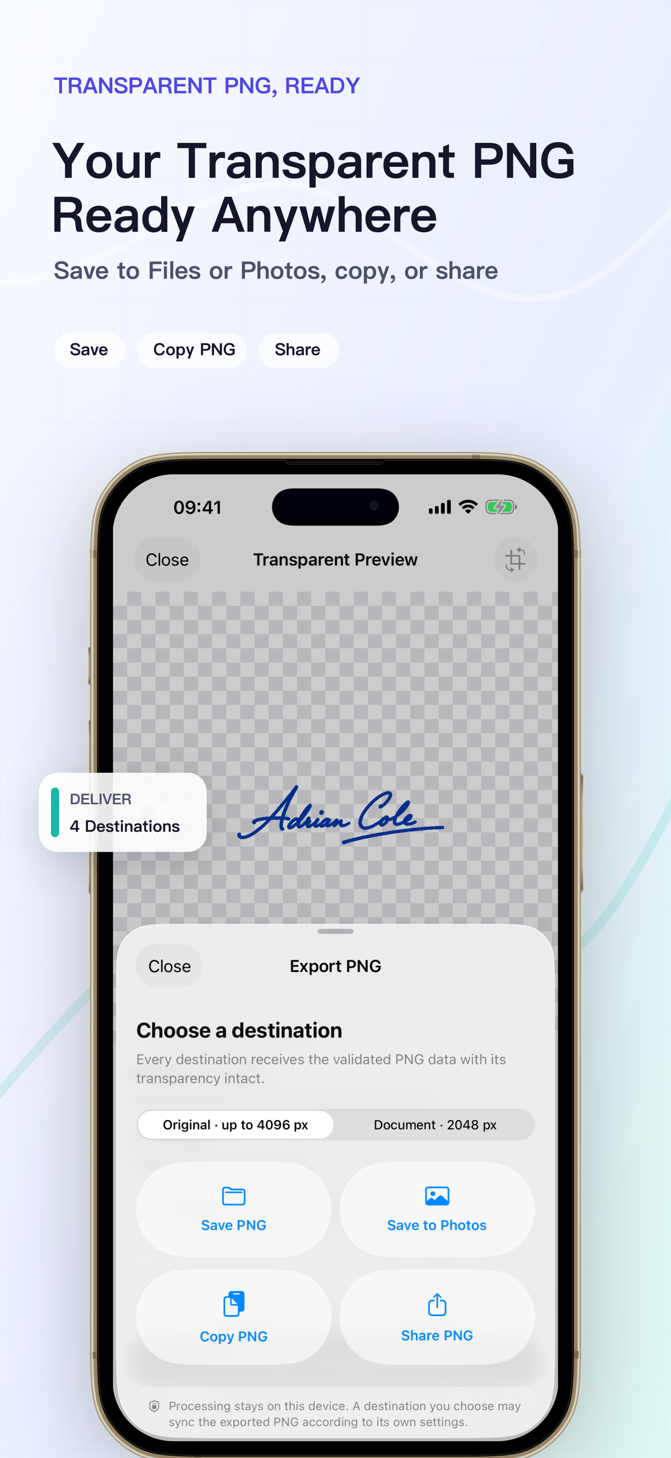Deliver the same validated transparent PNG to Files, Photos, the clipboard, or the system Share Sheet.